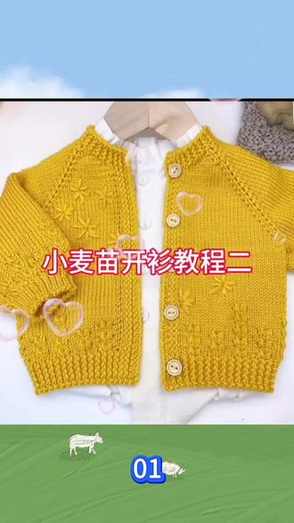 小麦苗开衫教程2-1