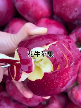 【水果礼盒】自然搭档 甘肃天水花牛苹果12枚新鲜水果 顺丰包邮#新鲜应季水果 #甘肃花牛苹果 #好吃不贵经济实惠 #好吃到停不下来