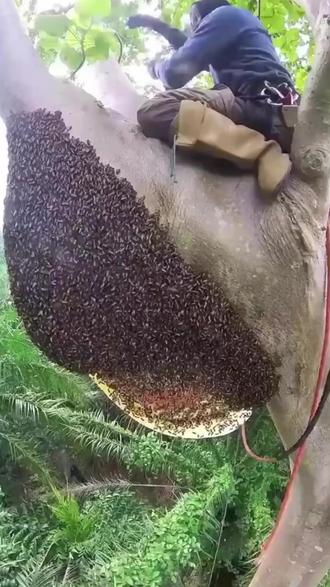 为了生活到底能有多拼命?