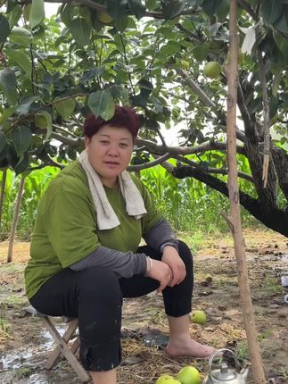 好的梨不在超市,不在市场#水果自由 #夏天的味道你感受到了吗  #老年生活欢乐多 #夏天水果#砀山特产