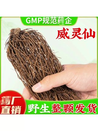 威灵仙 威灵仙开花了 #你的家乡有这种植物吗 #热门 #威灵仙#养生茶#热门短剧推荐