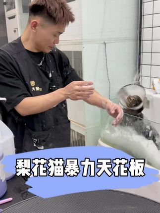 宠小哥(21号直播带你们看亚宠展)