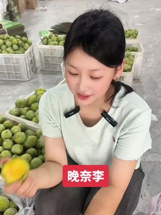 古田油奈李 晚奈李果肉都是黄色的很好吃#古田油奈李 #脱骨李 #李子 #桃形李 #应季水果