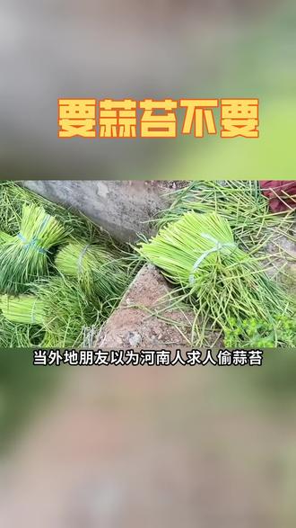 蒜苔、豆角,是每一个河南孩子的梦,至于啥梦你别管 #河南蒜苔 #蒜苔 #林肯航海家 #林肯舒奢瞬间 #林肯舒服学