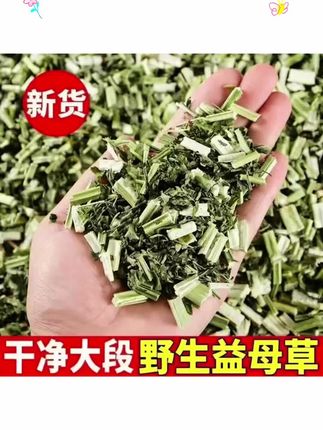 益母草新鲜干货泡茶煮水产后泡脚新货干净#益母草茶 #益母草 #益母草红枣汤