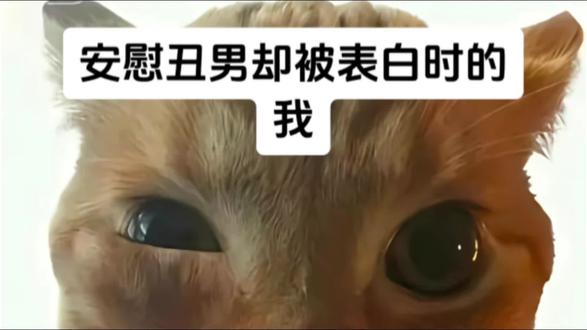 安慰丑男丑女 依旧外星物种嘲讽人类