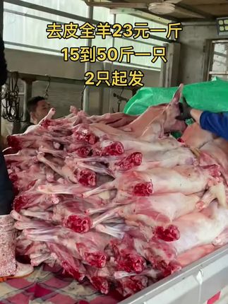 去皮全羊23元一斤，15到50斤一只，2只起发#全羊 #去皮全羊 #牛羊肉批发 #支持全国发货