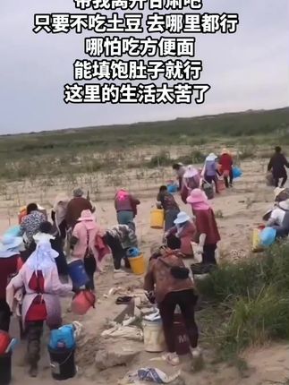如果有一天你感觉不幸福。就来大西北黄土高坡田地走走,你会发现,有些人为了生存而生活。在农民心里,粮食就是天,再苦再难也要种进去。#大西北#黄土高坡#农村生活 #农民不易