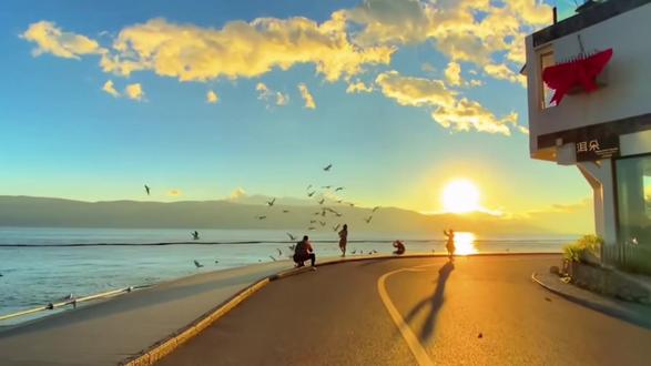 【steam】常见问题解决!130报错/商店加载失败/加载慢 #steam #steam130报错 #steam无法打开商店 #steam商店打开失败 #steam加载慢