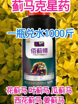 蓟马特效药#蓟马防治#佰蓟晴#农业种植