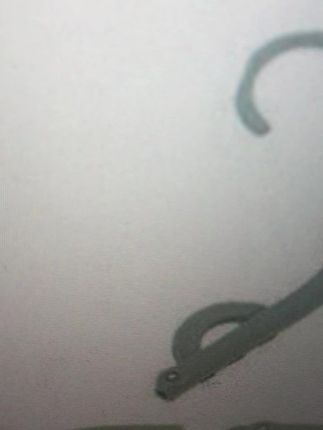 便携折叠衣架