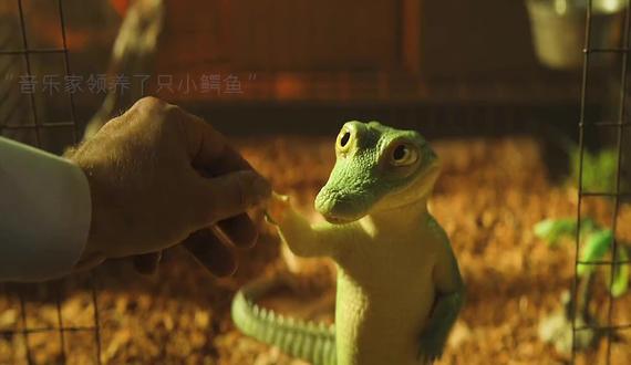 谁能拒绝这样一只又贱又可爱的小鳄鱼呢?!# 电影鳄...