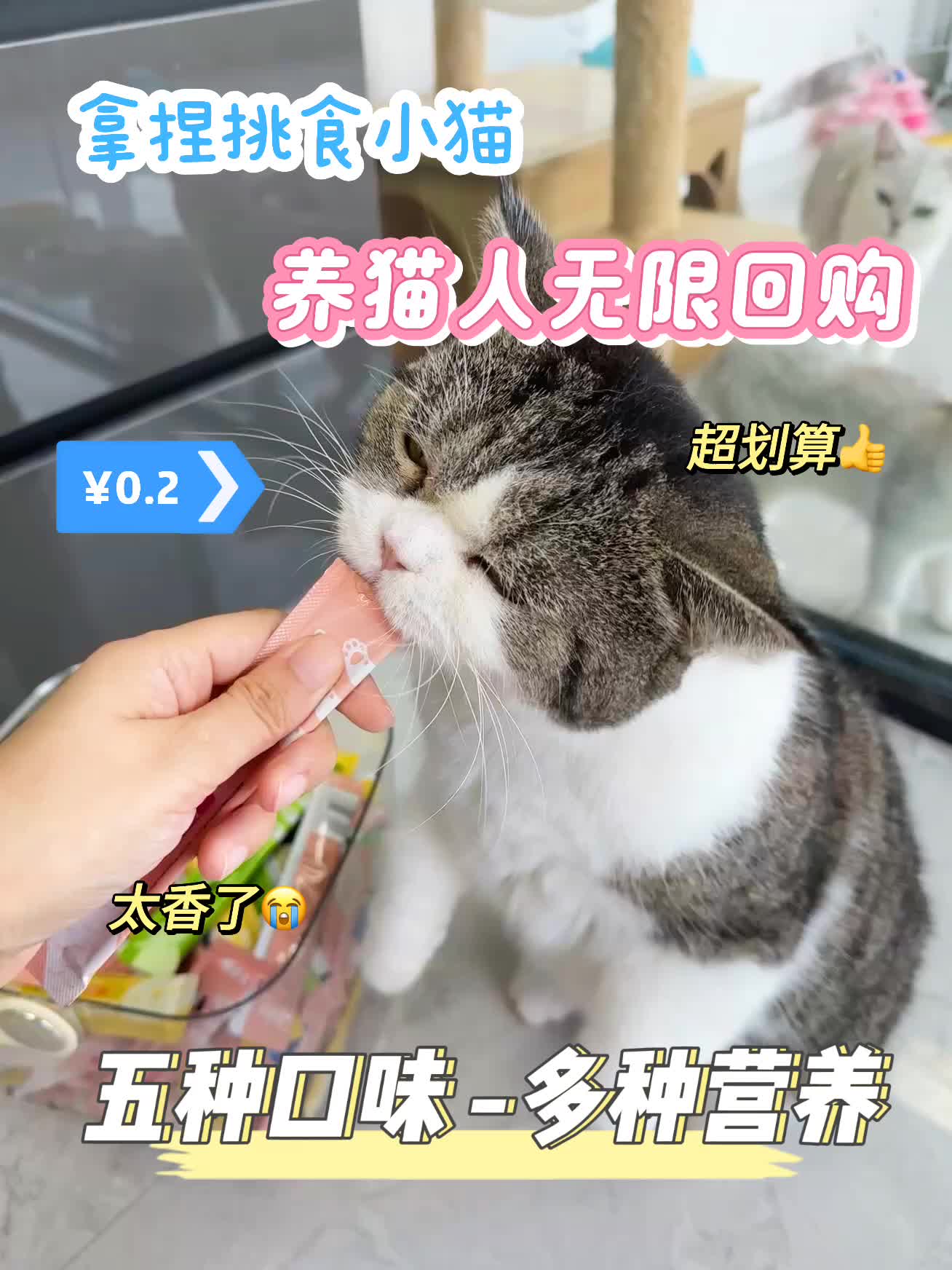 老肥咪推荐的香香猫条,直接入准没错~#猫零食 #猫条 #猫条推荐