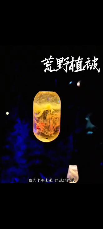暗恋十年未果 纪淮 你痛不痛#荒野植被 #纪淮 #许年 #副CP #许言