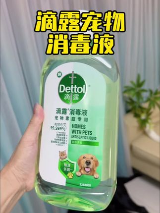 养宠家庭必备的宠物消毒液#滴露宠物消毒液 #除臭 #养宠人 #拉布拉多 #奶牛猫