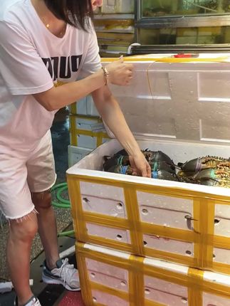 #野生大青蟹