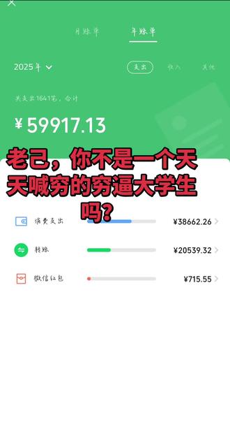 我爱你,老己#消费之谜 #我服了 #年度账单