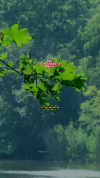 免票!剑门关、泸沽湖景区等最新公告