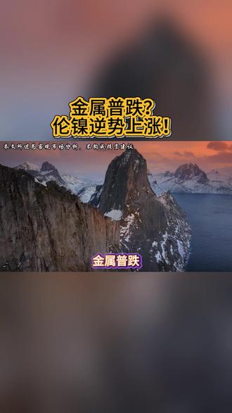 金属普跌?伦镍逆势上涨! #金属 #伦镍 #热点 #财经 #弘历投教