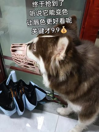 #日常分享 #口红
