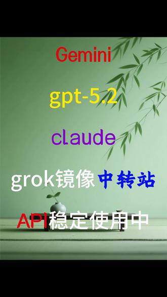 Gemini,gpt-5.2,claude,grok镜像中 #API #Gemimi#ai大模型产品