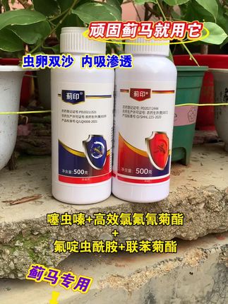 #蓟马 #噻虫高氯氟 #氟啶虫酰胺联苯菊酯 #蓟马防治 #农业种植 @DOU+上热门