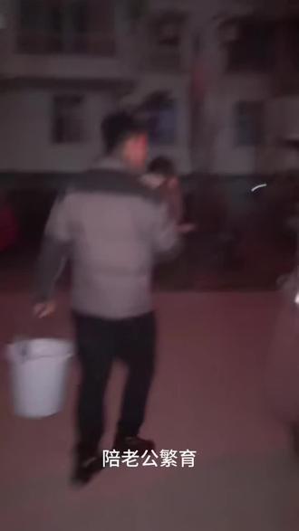 来一期喂狗日常volg#狗 #萨摩耶 #萌宠