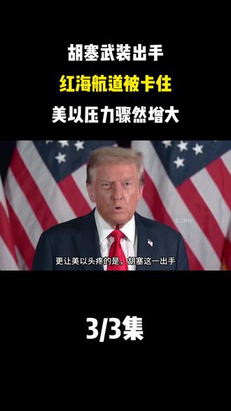 为什么胡塞武装只盯着以色列打? #军事科普 #国际局势 #胡塞武装 #以色列