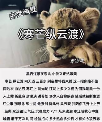 黑吉辽蒙在东北 小伙立正姑娘美#另类伴奏合拍