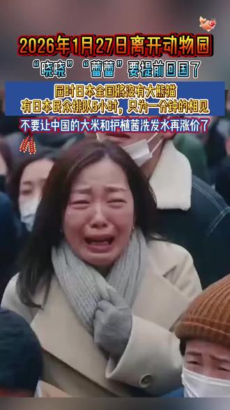 确认了!日本最后2只大熊猫回国#大熊猫