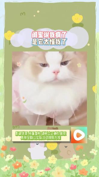 这下终于实现短剧自由了!#红果短剧 #你的短剧搭子 #上红果刷剧过好年 #把长途变短剧 #追剧神器