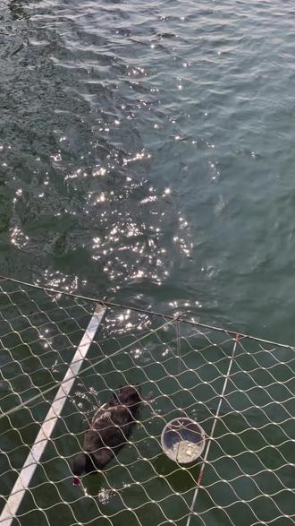 春姑娘来了! 春意渐浓。虽然冬寒的余韵还在某些清晨 ,但白昼渐长、万物复苏的气息已经弥漫在空气中了。春天总是让人心情愉悦,出去走走,感受了季节的更替。