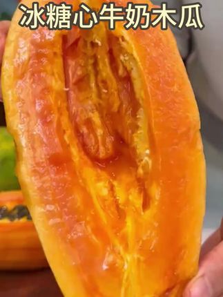 树上熟冰糖心牛奶木瓜雷州多汁红心木瓜细腻多汁丝滑软糯香甜顺丰 #木瓜 #冰糖心木瓜 #冰糖心牛奶木瓜 #红心木瓜 #水果推荐