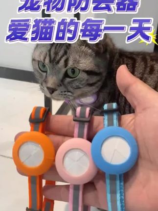 安卓苹果通用宠物防丢神器中小型猫狗通用项圈GPS定位#宠物定位#宠物防丢#项圈#gps#好物推荐