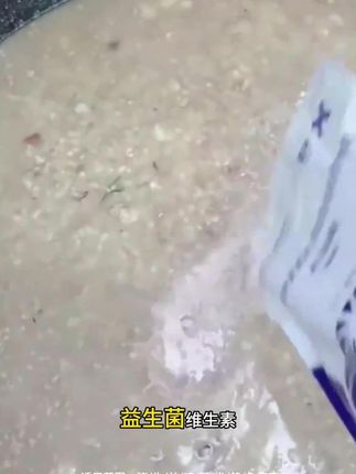 #加酶益生素 #混合型饲料 #饲料