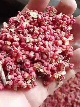 2024陕西新鲜大红袍干花椒100/500克颗粒麻香味炒菜
