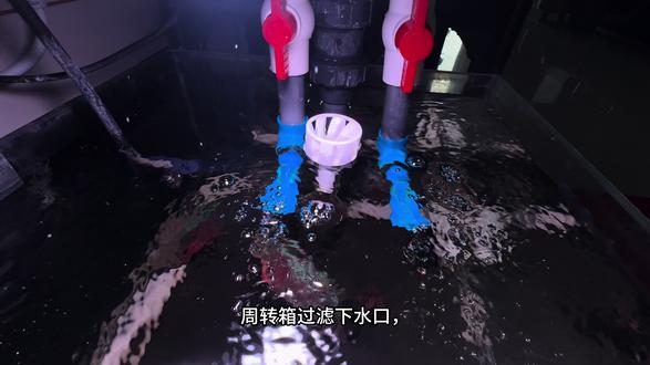 #上热门🔥 周转箱噪音大.气泡多.改善教程#养鱼日记 #养鱼养心 #维修实例 #过滤系统