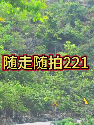 随走随拍221