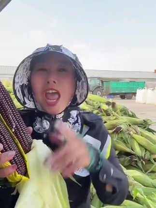 早餐新宠!东北黑糯玉米,天然甜糯锁鲜美味! 今天又做了很多好吃的东西给大家分享了!有喜欢吃的吗?评论区留言哦~#玉米#软糯香甜#糯玉米#东北特色美食#被新农人的打卡视频馋到了