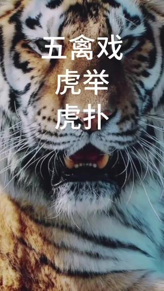 五禽戏,虎鹿熊猿鸟!
