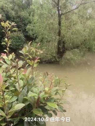自然风光。 分享经济共同富裕人人参与健康快乐事业有成家家户户幸福美满