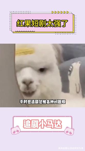 红果短剧太强了 #红果短剧 #追剧