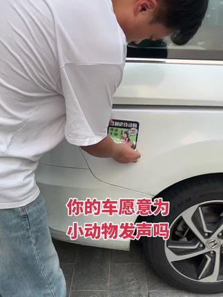 动物不会说话,我门替它说#拒绝遗弃 #关爱流浪动物 #爱护小动物 #猫狗