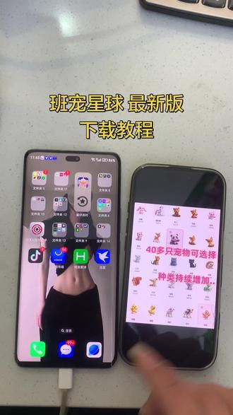 《小6宝库》班级宠物乐园下载教程,安装教程,班宠星球下载教程#班宠星球 #班宠星球下载教程 #班宠星球下载 #班宠星球怎么下载 #ourteacher班级宠物园