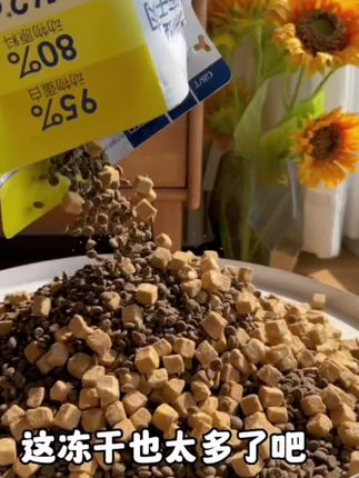 想让猫咪吃得香长得胖,真的可以试试西西来了冻干生骨肉双拼猫粮#猫粮#冻干猫粮#猫粮推荐 #萌宠 #宠物食品 #萌宠