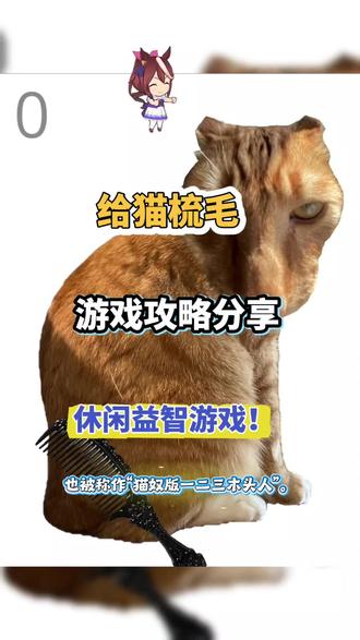@光环助手APP #光环助手 给猫梳毛游戏攻略分享 给猫梳毛新手攻略最新分享 #给猫梳毛 #休闲游戏 #益智游戏 #冒险游戏