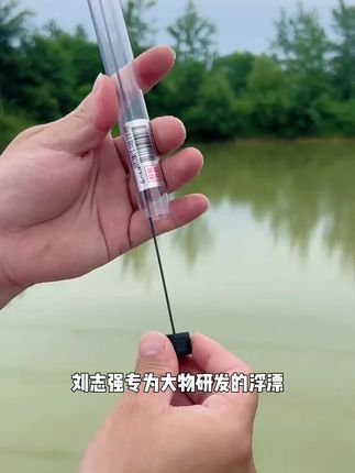 刘志强专攻鲢鳙设计的青云鲢鳙大物电子漂,日夜两用,电池超长续航,强抗风浪,能有效过滤虚假信号,白天钓大物,夜钓守大物都适用。#青云鲢鳙电子漂 #夜光漂推荐 #日夜两用夜光漂