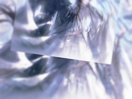 好适配啊这个BGM#二哈和他的白猫师尊