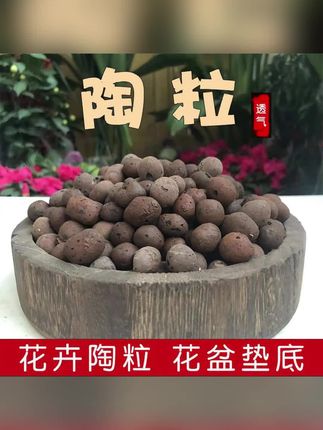 月逸轩园艺陶粒盆栽垫底养花多肉石透气防烂根多肉垫底轻质陶土#好物推荐#土#多肉施肥 #多肉花盆 #农产品