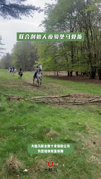 敦煌戈壁领导力疗愈遇险,联合创始人夜骑坠马骨折#马 #马术 #马术保险 #马术安全